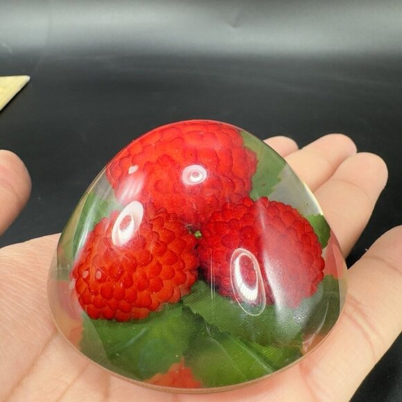 Dome Shape Acrylic Resin Lucite Round Paperweight Red Raspberry Leaves Vintage - Picture 9 of 13